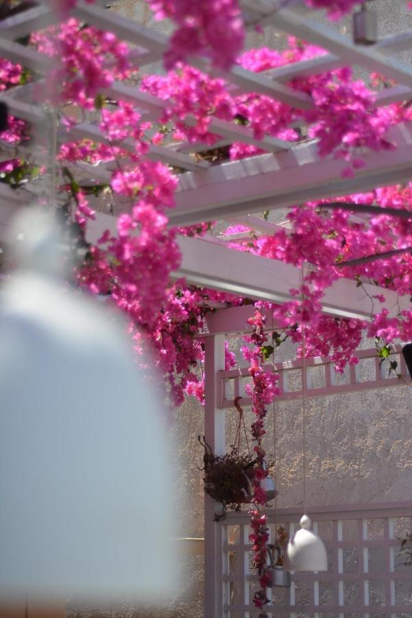 Villa Iokasti Hersonissos  Luaran gambar